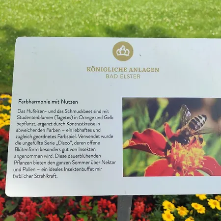 Apartment Haus Grimberg 1-fewo&2-fewo