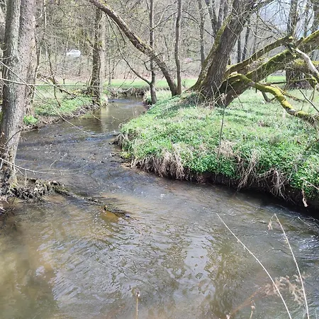 Apartment Haus Grimberg 1-fewo&2-fewo Bad Elster