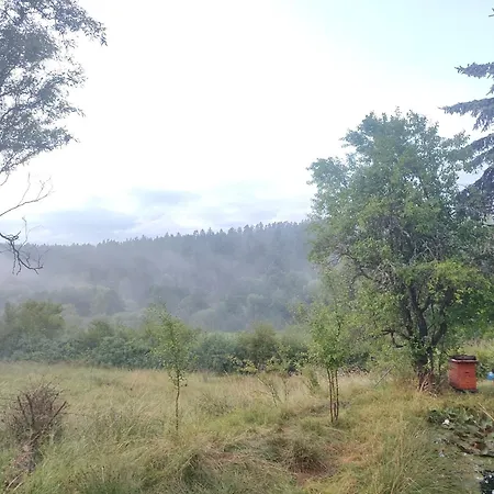 Haus Grimberg 1-fewo&2-fewo *