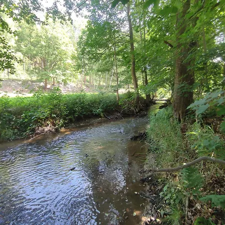 Haus Grimberg 1-fewo&2-fewo * Bad Elster